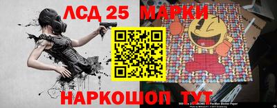 a pvp Камышлов