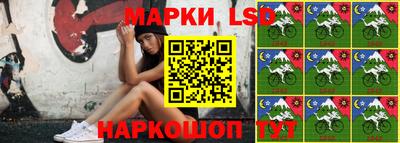 a pvp Камышлов