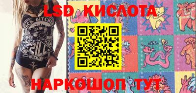 a pvp Камышлов