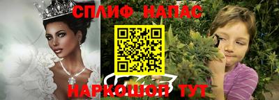 a pvp Камышлов