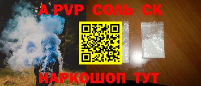 a pvp Камышлов