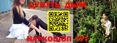 a pvp Камышлов