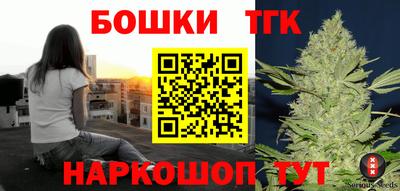 a pvp Камышлов