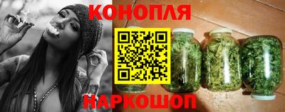 a pvp Камышлов