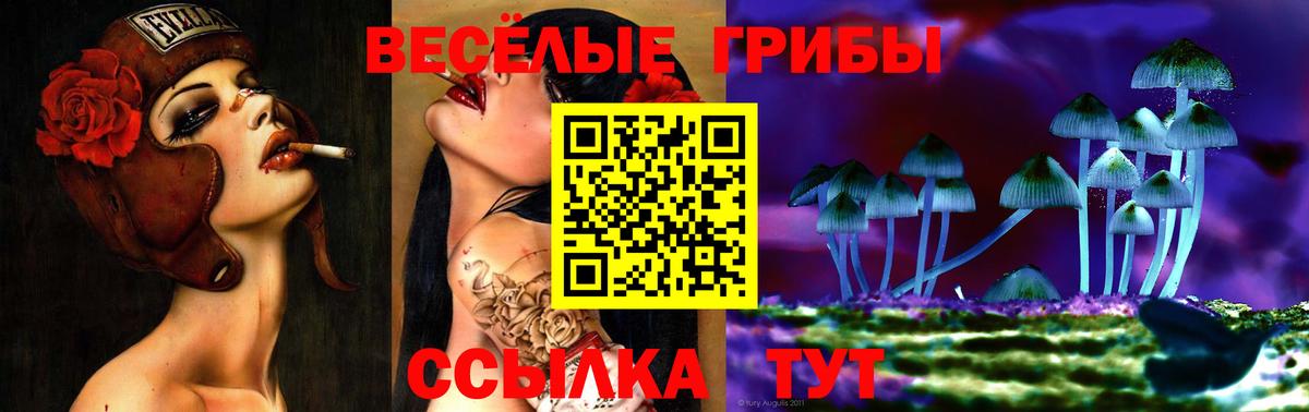 Псилоцибиновые грибы Magic Shrooms  Вход с VPN  Владивосток 
