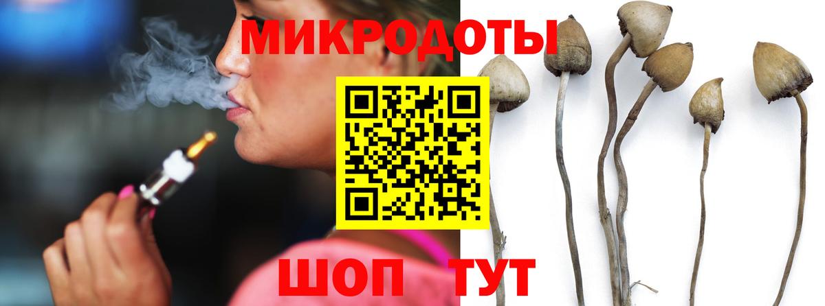 Галлюциногенные грибы Psilocybine cubensis Владивосток